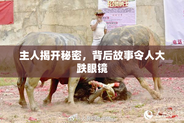 主人揭开秘密，背后故事令人大跌眼镜