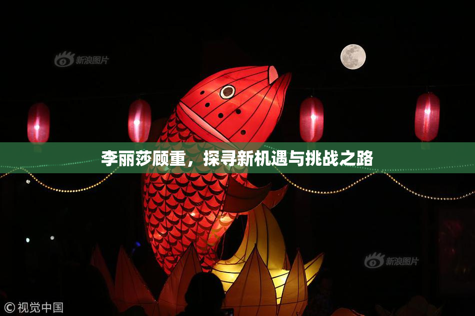 李丽莎顾重，探寻新机遇与挑战之路