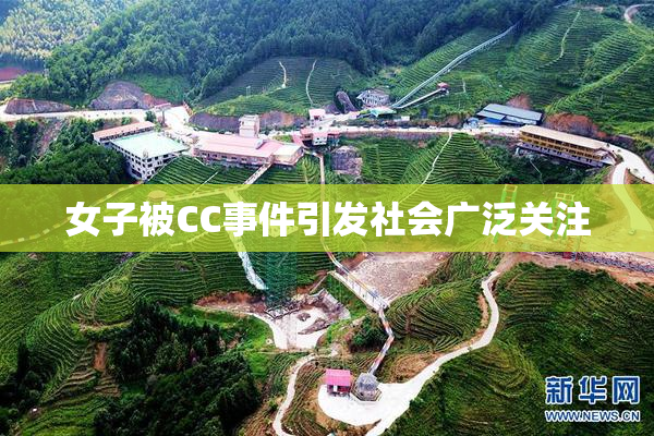 女子被CC事件引发社会广泛关注