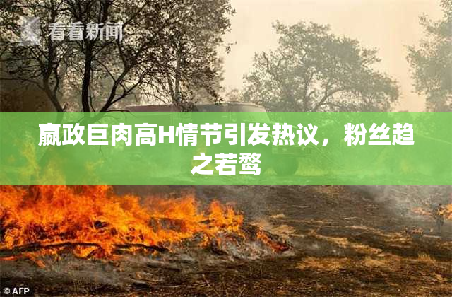 嬴政巨肉高H情节引发热议，粉丝趋之若鹜