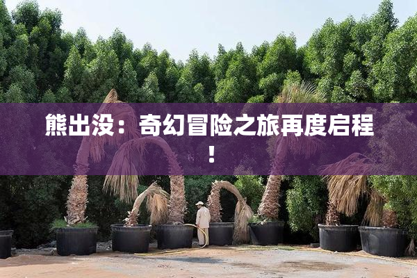熊出没：奇幻冒险之旅再度启程！