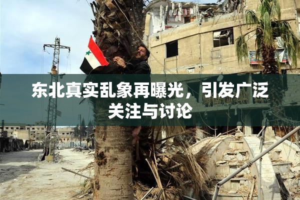 东北真实乱象再曝光，引发广泛关注与讨论