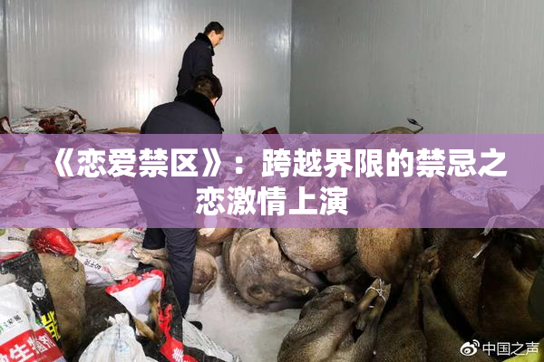 《恋爱禁区》：跨越界限的禁忌之恋激情上演