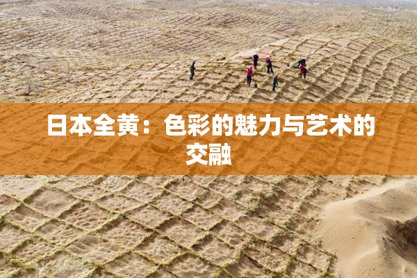 日本全黄：色彩的魅力与艺术的交融