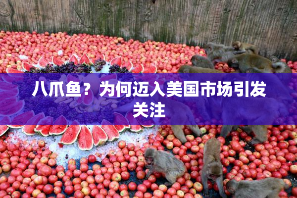 八爪鱼？为何迈入美国市场引发关注