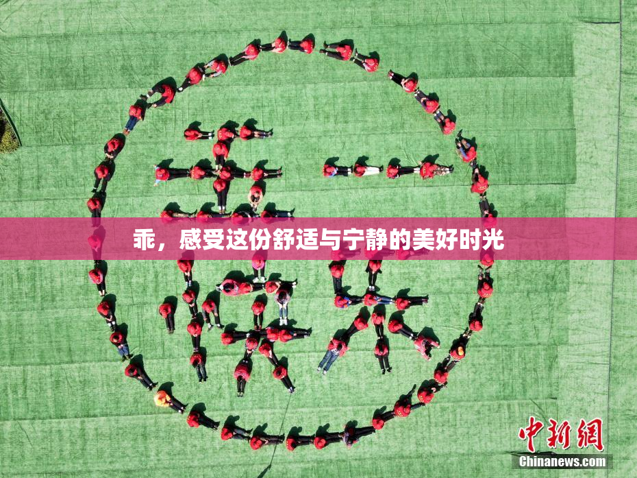 乖，感受这份舒适与宁静的美好时光