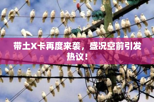 带土X卡再度来袭，盛况空前引发热议！
