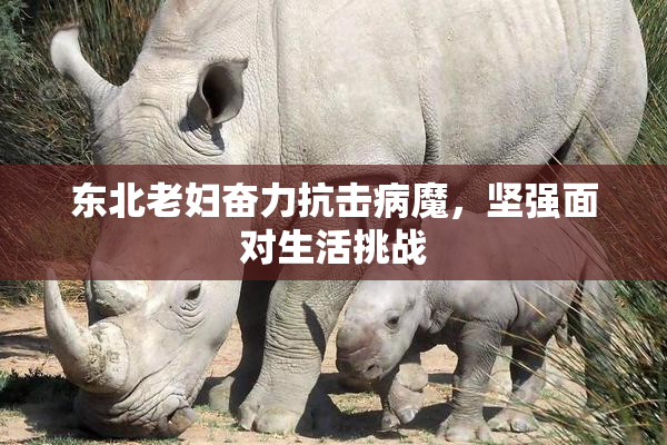 东北老妇奋力抗击病魔，坚强面对生活挑战
