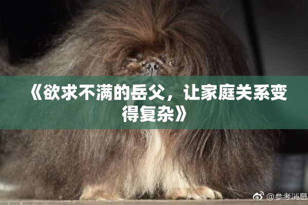 《欲求不满的岳父，让家庭关系变得复杂》