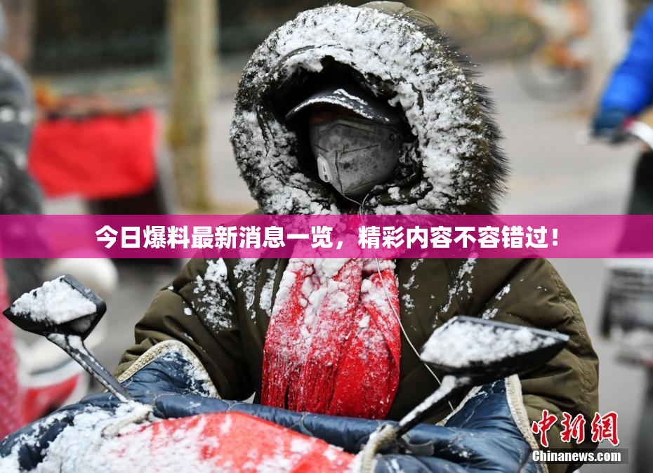 今日爆料最新消息一览，精彩内容不容错过！