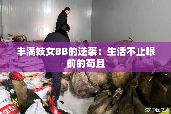 丰满妓女BB的逆袭：生活不止眼前的苟且