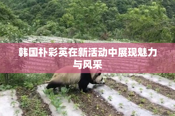韩国朴彩英在新活动中展现魅力与风采