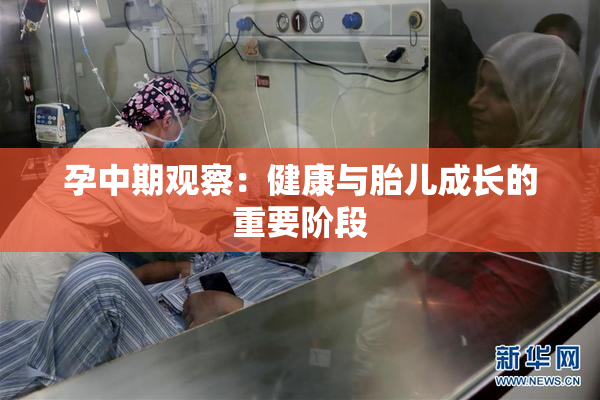 孕中期观察：健康与胎儿成长的重要阶段