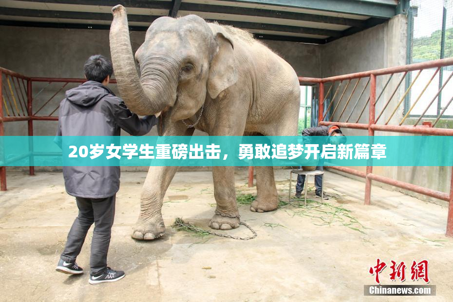 20岁女学生重磅出击，勇敢追梦开启新篇章