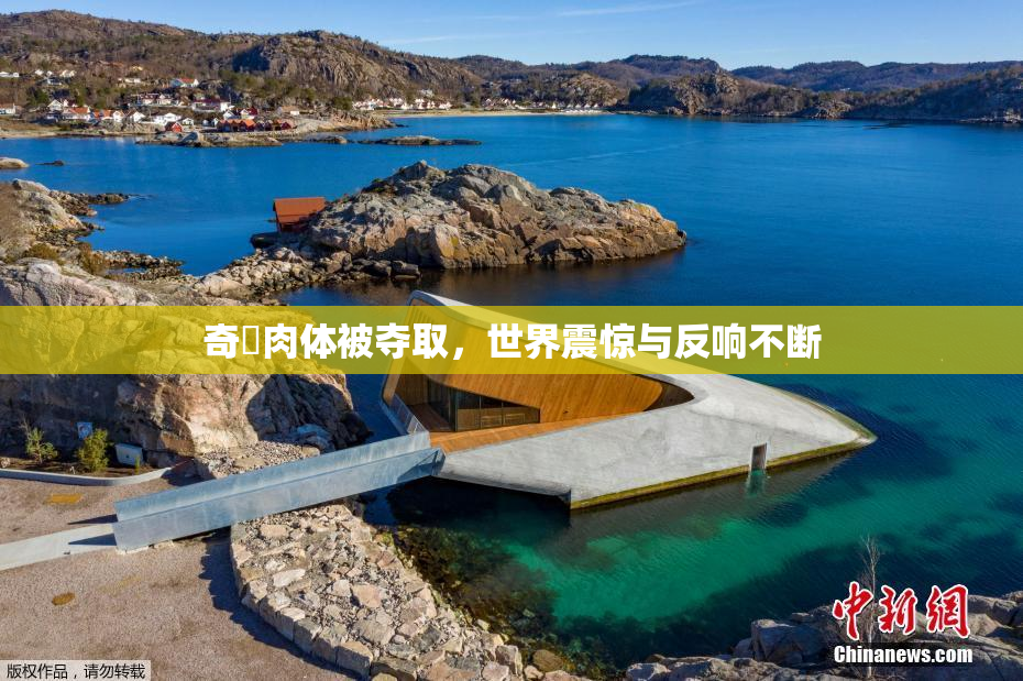 奇犽肉体被夺取，世界震惊与反响不断