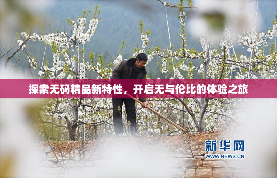 探索无码精品新特性，开启无与伦比的体验之旅