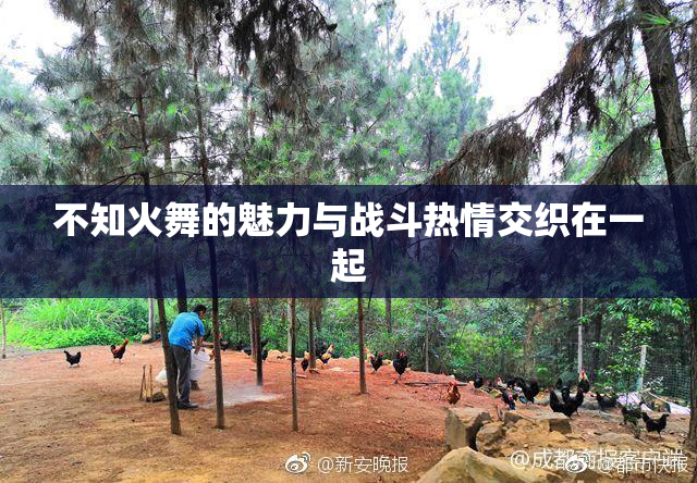 不知火舞的魅力与战斗热情交织在一起
