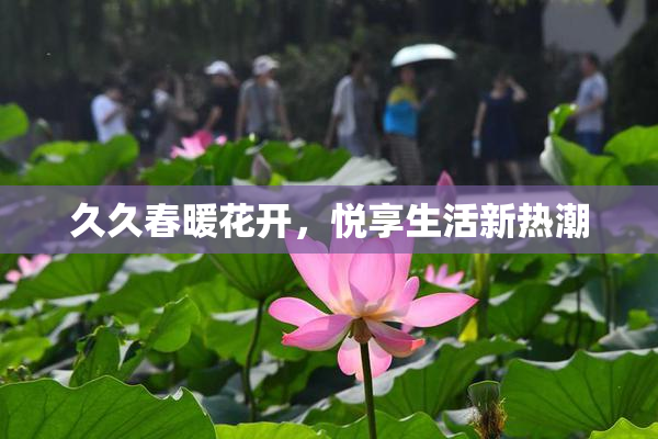 久久春暖花开，悦享生活新热潮