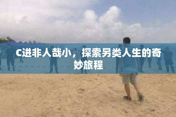 C进非人哉小，探索另类人生的奇妙旅程
