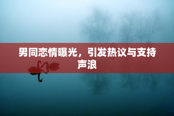 男同恋情曝光，引发热议与支持声浪