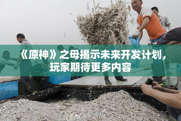 《原神》之母揭示未来开发计划，玩家期待更多内容