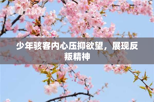 少年骇客内心压抑欲望，展现反叛精神