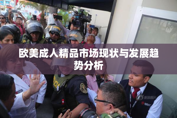 欧美成人精品市场现状与发展趋势分析