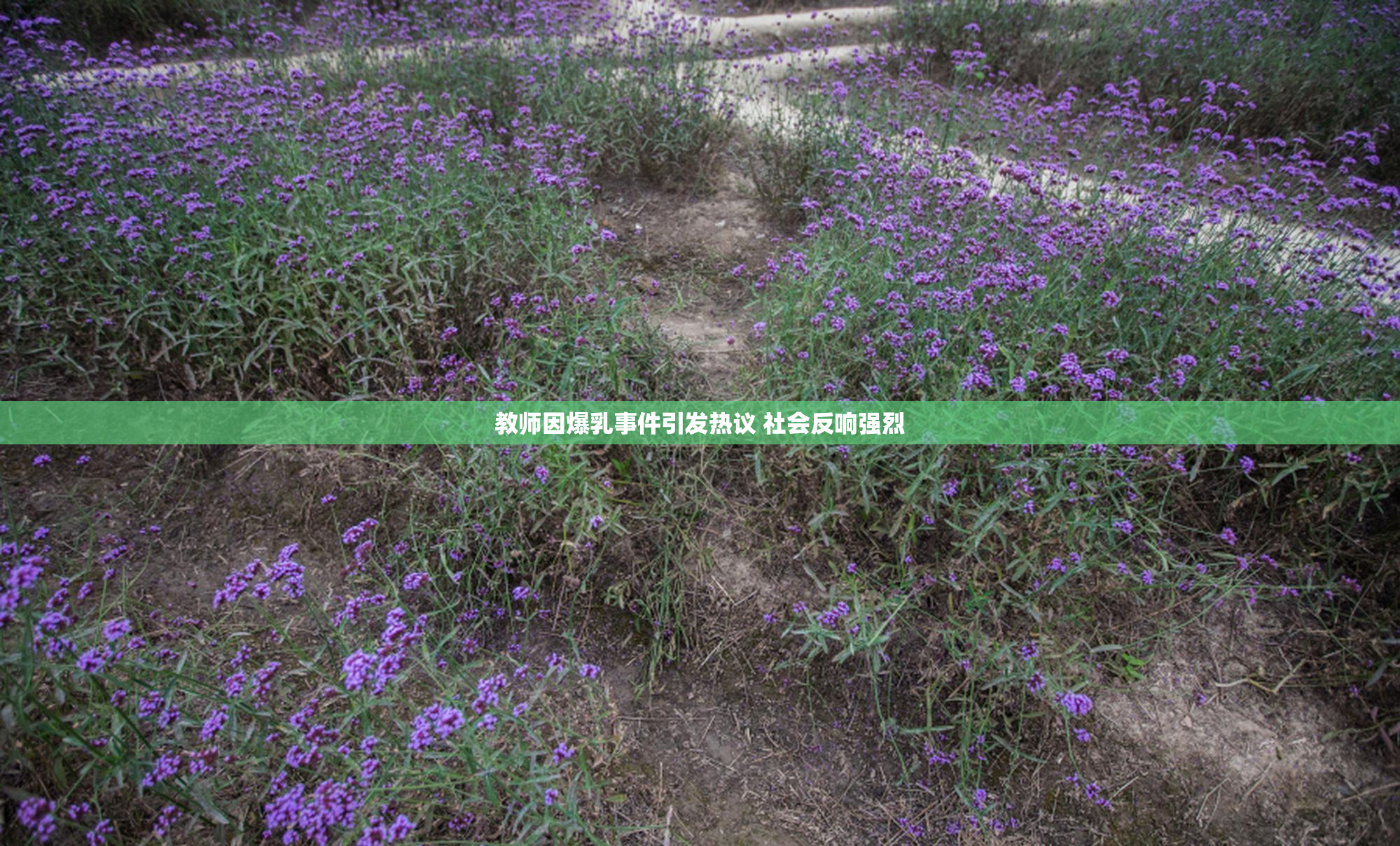 教师因爆乳事件引发热议 社会反响强烈