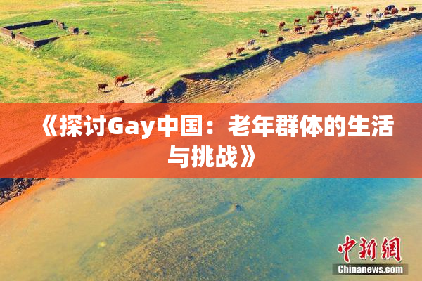 《探讨Gay中国：老年群体的生活与挑战》
