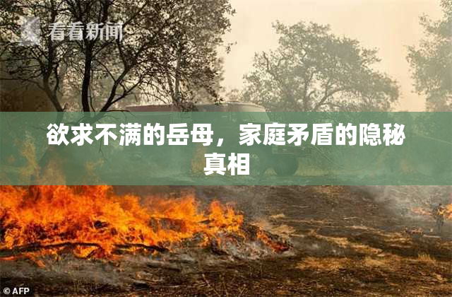 欲求不满的岳母，家庭矛盾的隐秘真相
