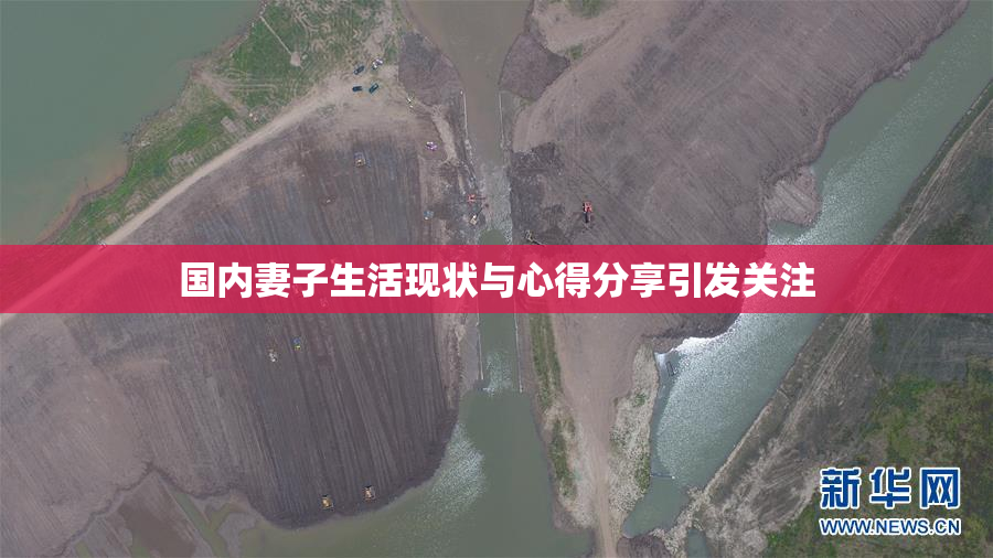 国内妻子生活现状与心得分享引发关注