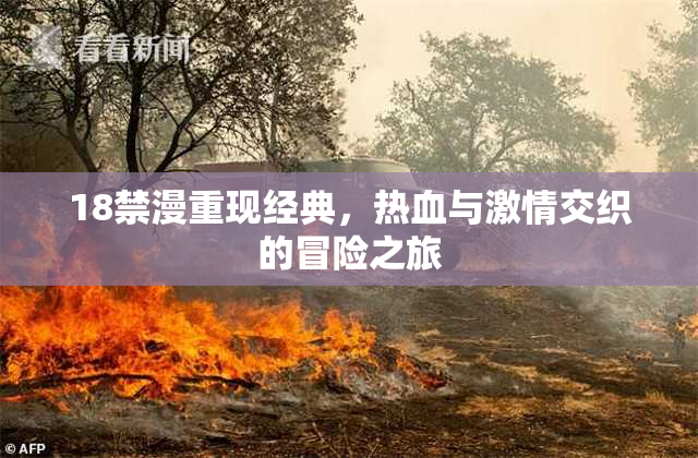 18禁漫重现经典，热血与激情交织的冒险之旅