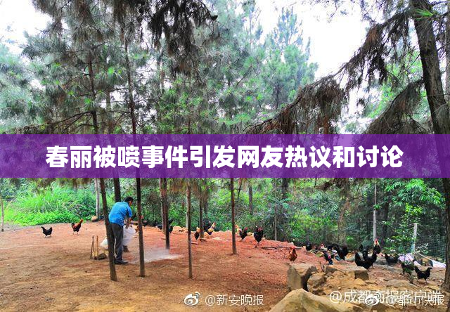 春丽被喷事件引发网友热议和讨论