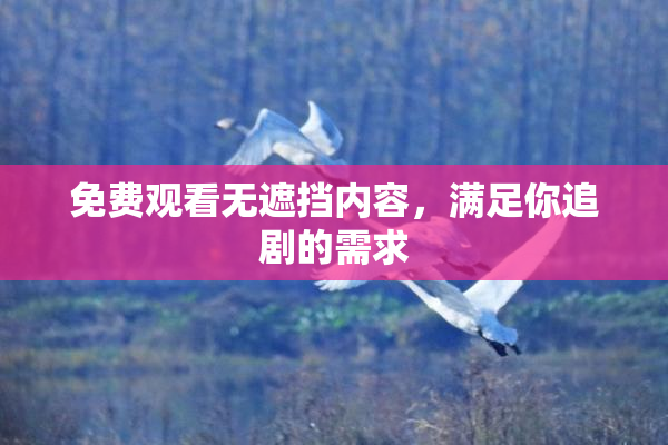 免费观看无遮挡内容，满足你追剧的需求