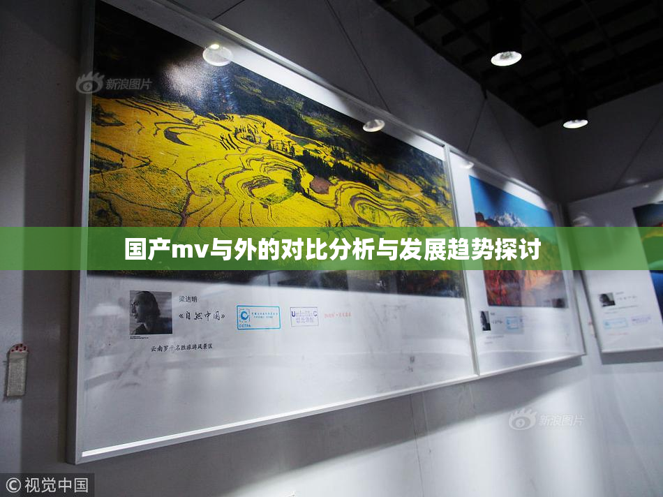 国产mv与外的对比分析与发展趋势探讨