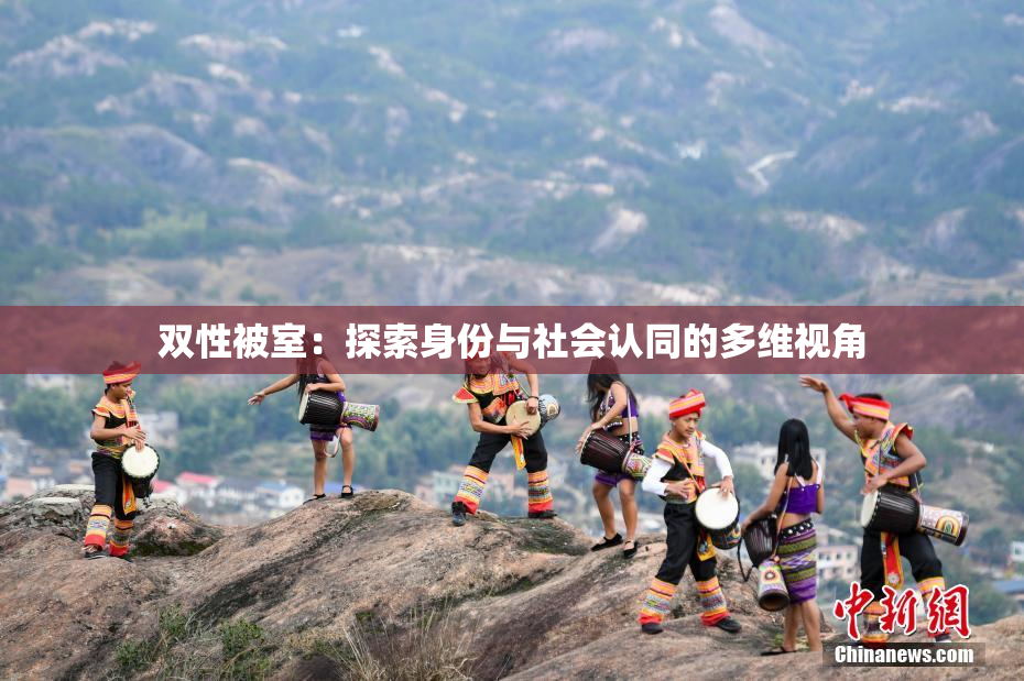 双性被室：探索身份与社会认同的多维视角