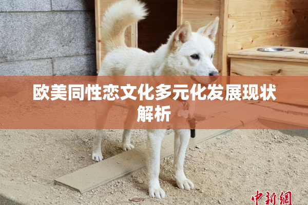 欧美同性恋文化多元化发展现状解析