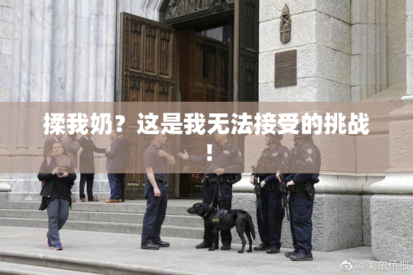 揉我奶？这是我无法接受的挑战！