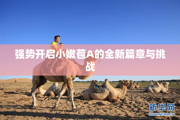 强势开启小嫩苞A的全新篇章与挑战