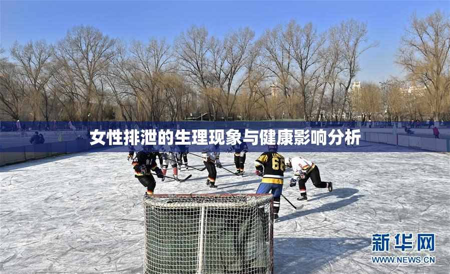 女性排泄的生理现象与健康影响分析