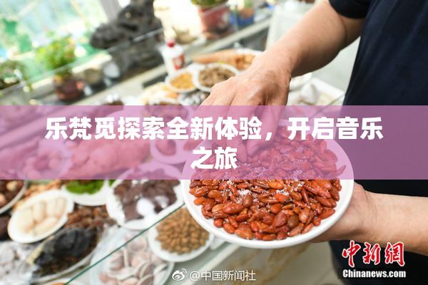 乐梵觅探索全新体验，开启音乐之旅