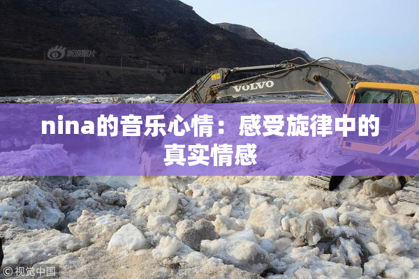 nina的音乐心情：感受旋律中的真实情感