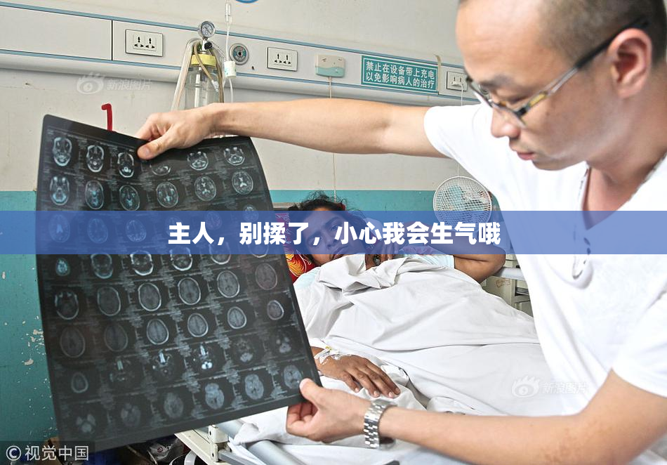 主人，别揉了，小心我会生气哦