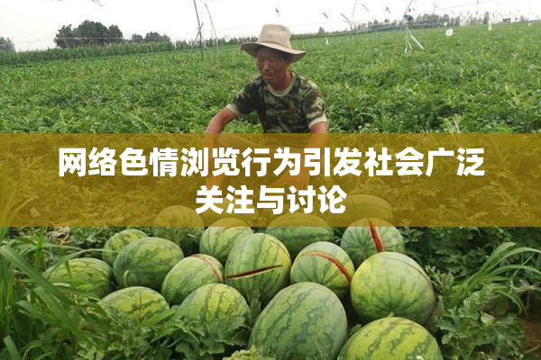 网络色情浏览行为引发社会广泛关注与讨论