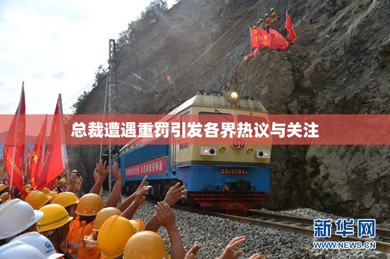 总裁遭遇重罚引发各界热议与关注