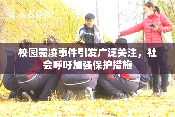 校园霸凌事件引发广泛关注，社会呼吁加强保护措施