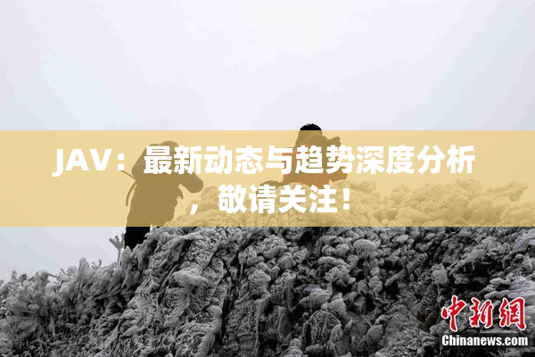 JAV：最新动态与趋势深度分析，敬请关注！
