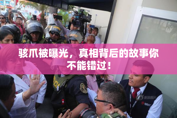 骇爪被曝光，真相背后的故事你不能错过！