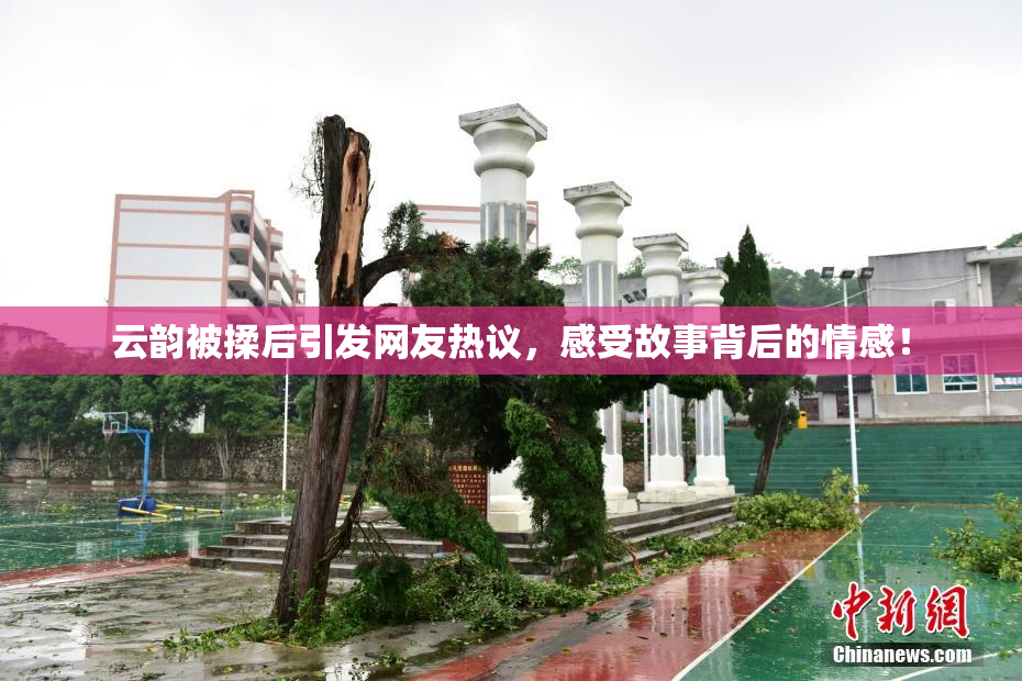 云韵被揉后引发网友热议，感受故事背后的情感！