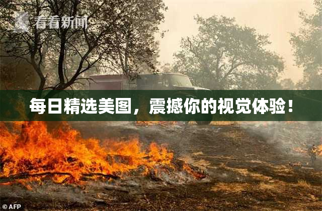 每日精选美图，震撼你的视觉体验！